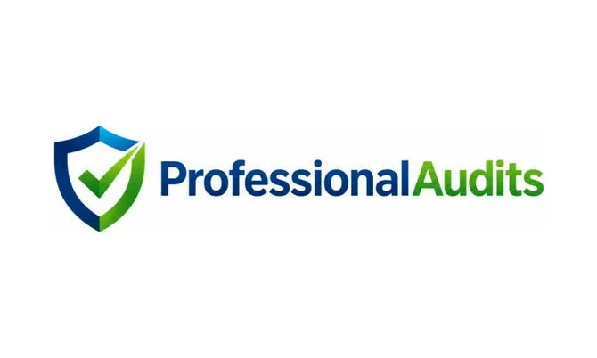 ProfessionalAudits.com Asset Logo